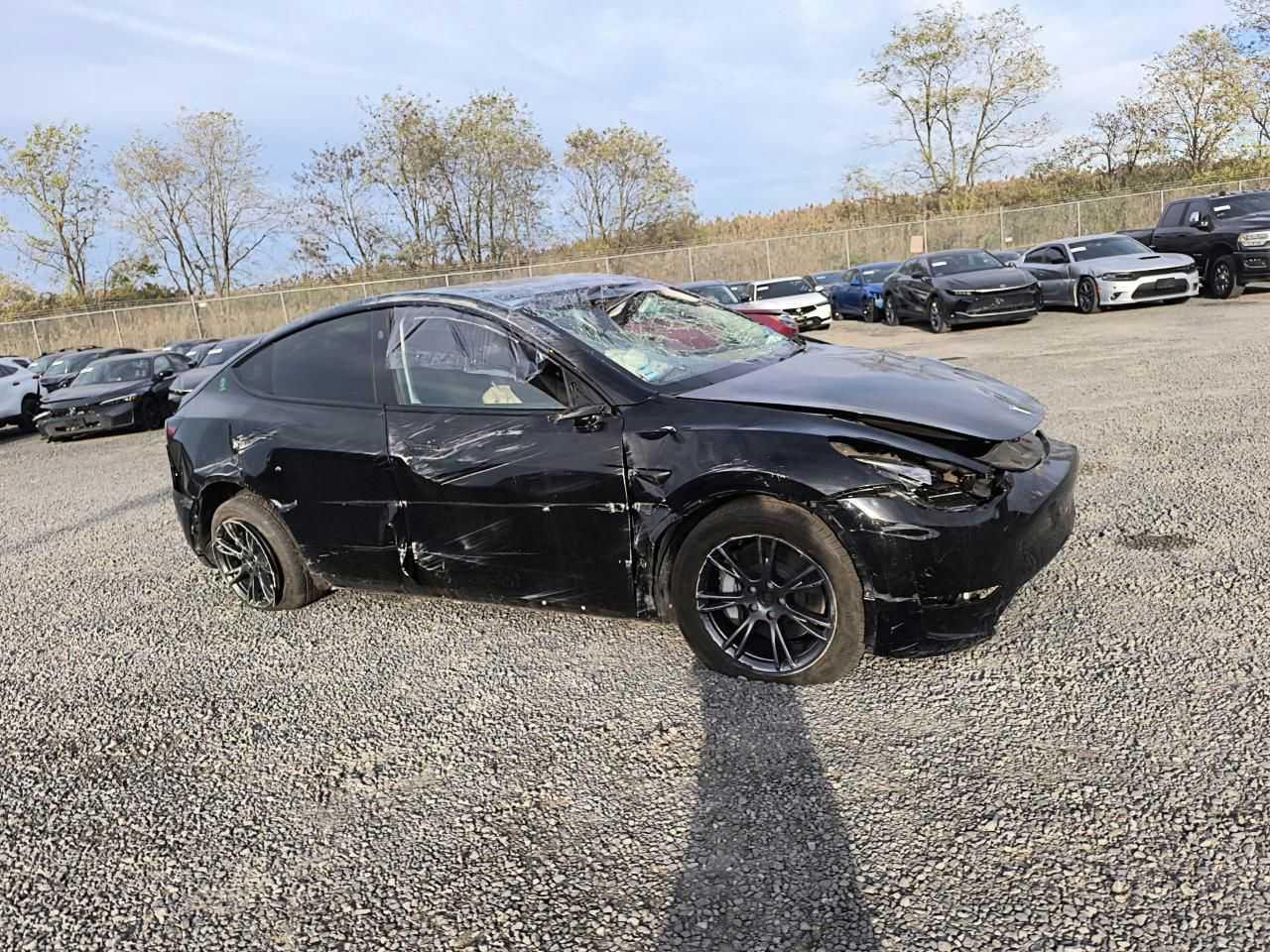 2024 TESLA MODEL Y