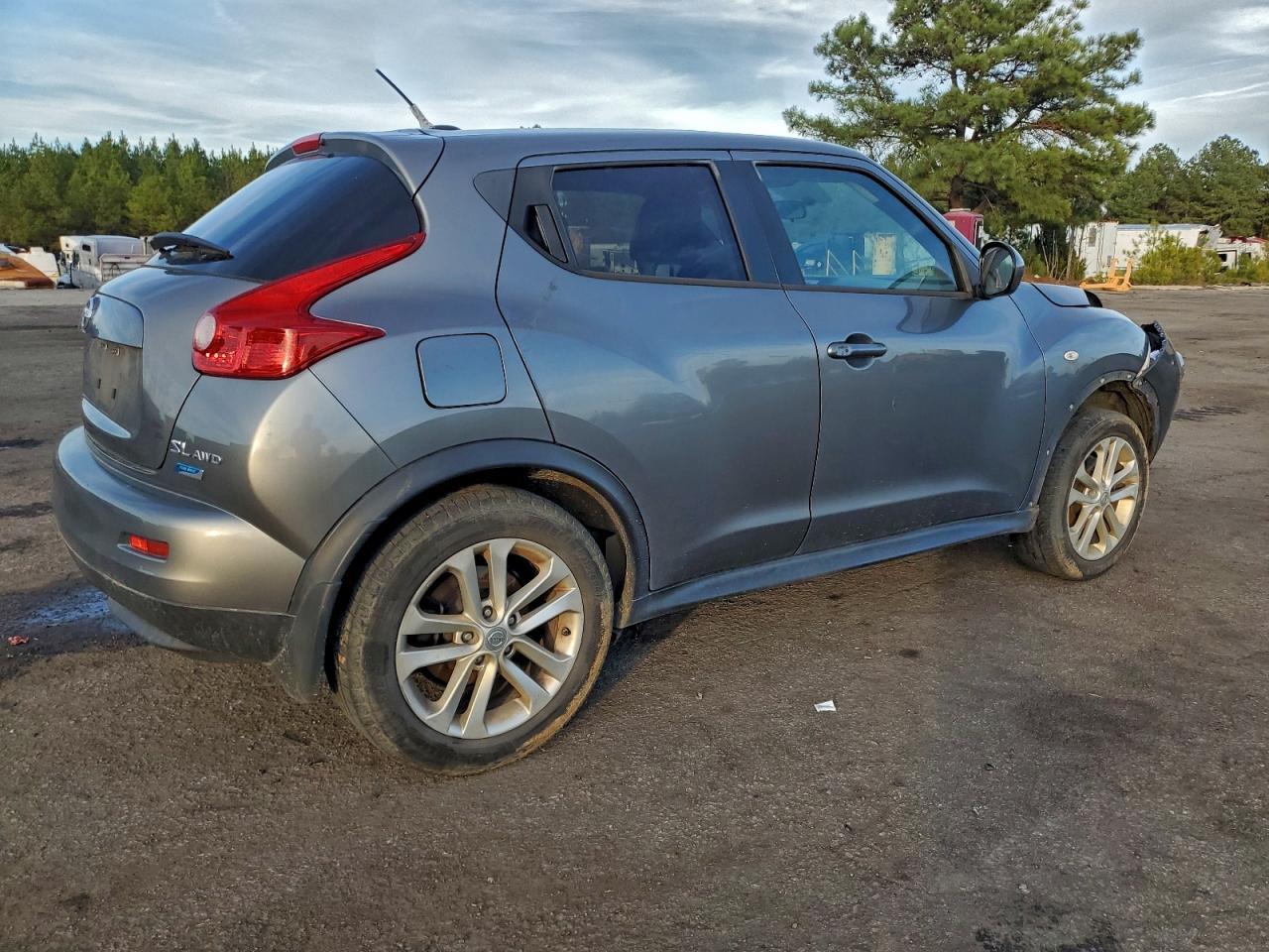 2014 NISSAN Juke