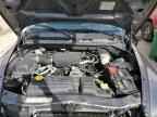 2004 DODGE Dakota