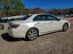 2010 ACURA RL