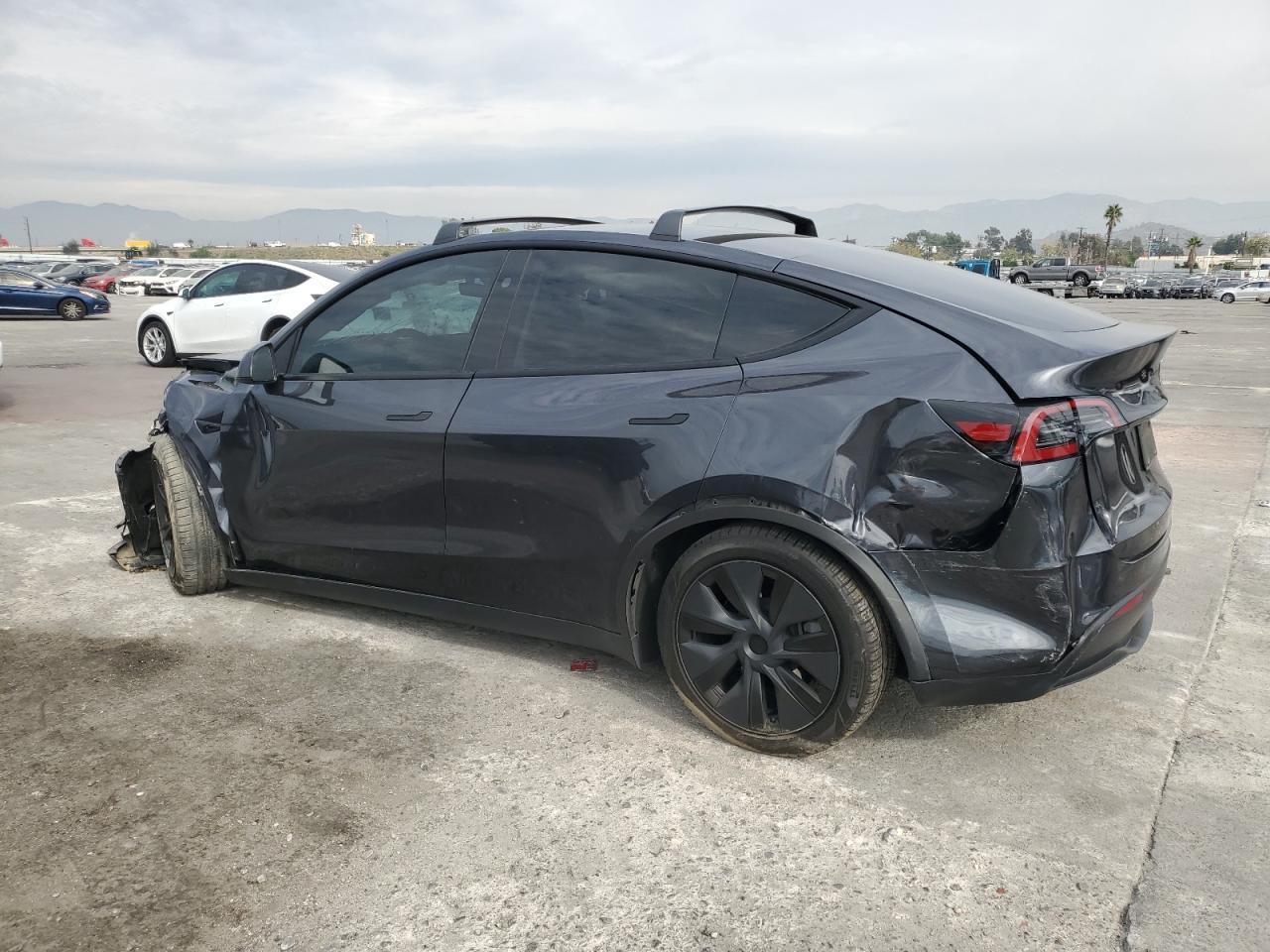 2025 TESLA MODEL Y