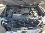 2024 TOYOTA Sequoia