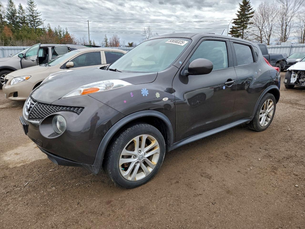2011 NISSAN Juke