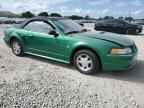 1999 FORD MUSTANG