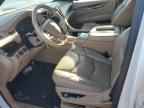 2019 CADILLAC ESCALADE