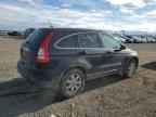 2009 HONDA CR-V