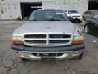 2002 DODGE Dakota