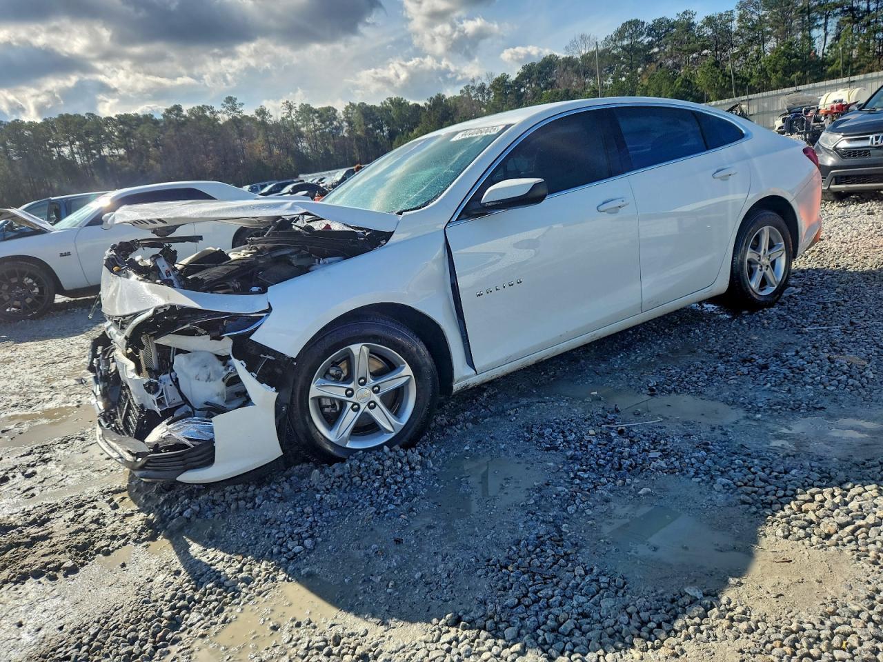 2024 CHEVROLET MALIBU