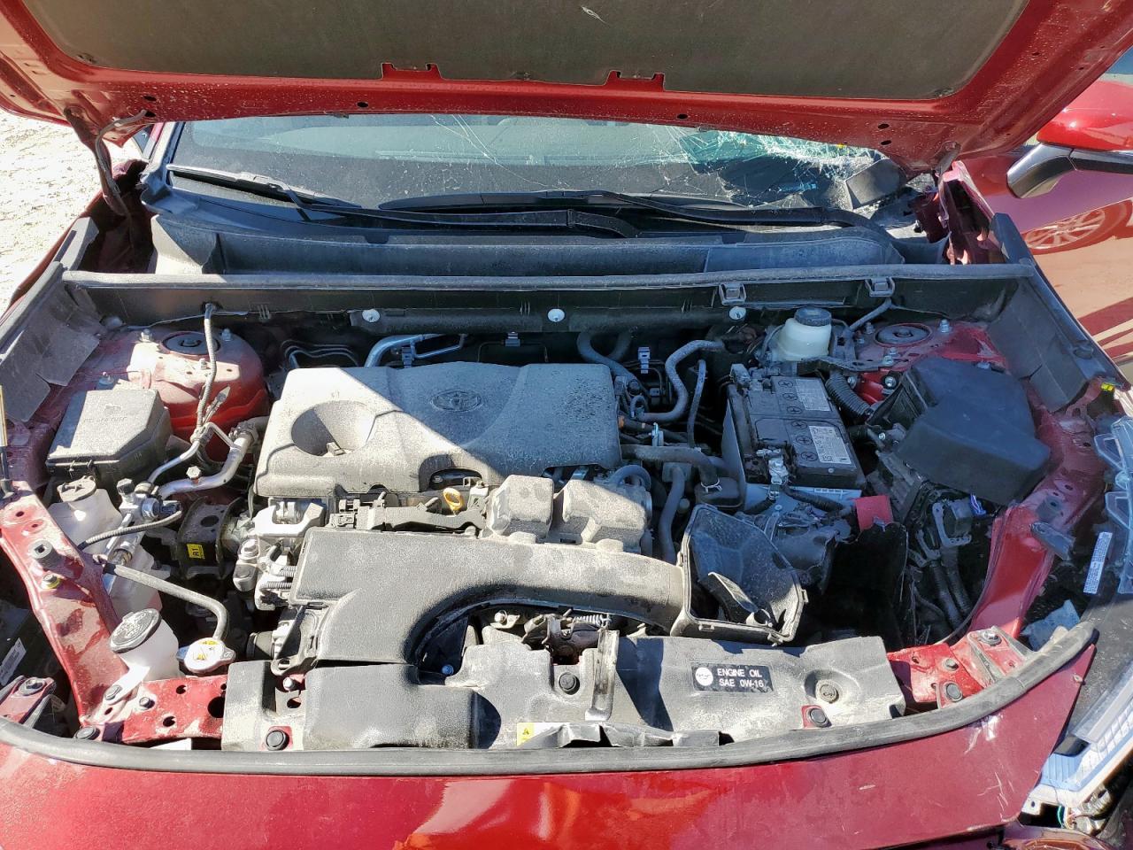 2024 TOYOTA RAV4