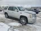 2011 CADILLAC ESCALADE