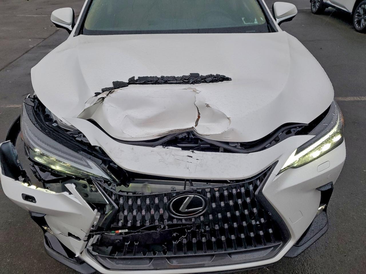 2025 LEXUS NX 350