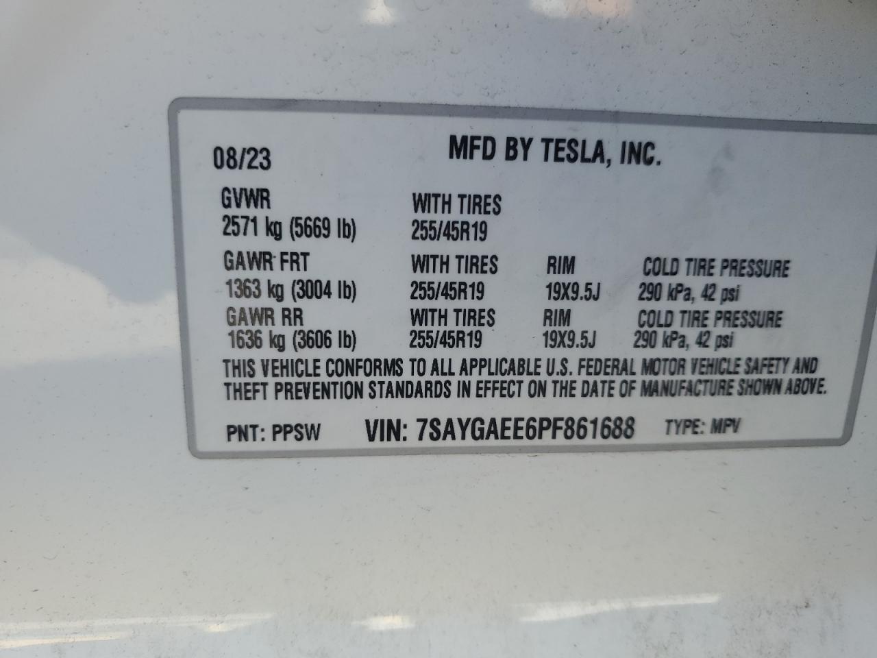 2023 TESLA MODEL Y