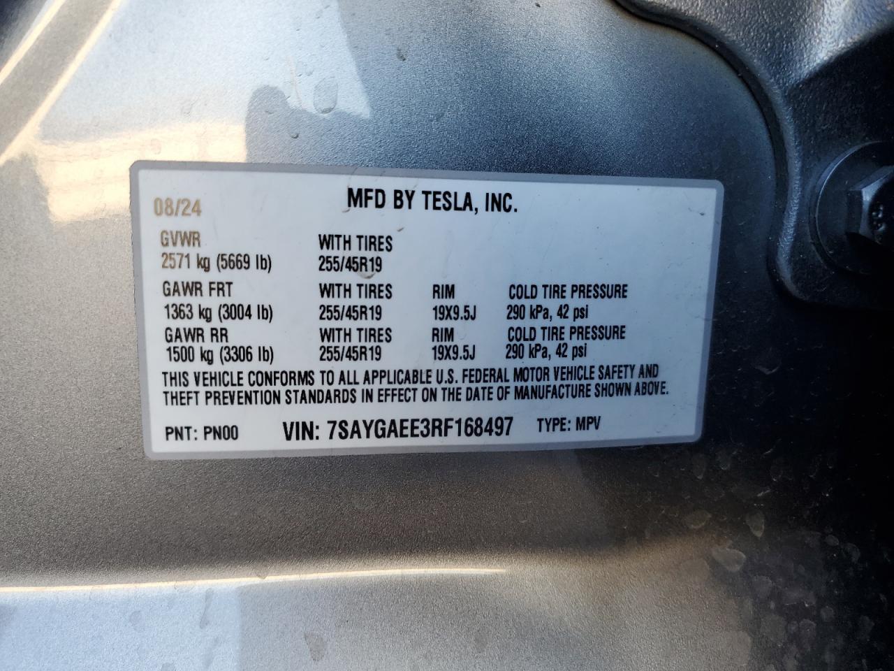 2024 TESLA MODEL Y