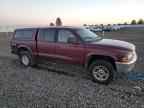 2003 DODGE Dakota