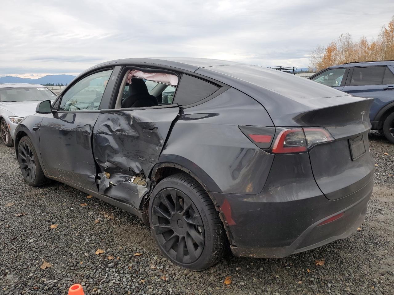 2024 TESLA MODEL Y