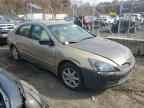 2005 HONDA ACCORD