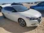 2017 NISSAN Maxima