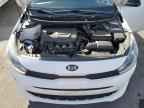 2019 KIA RIO