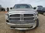 2009 DODGE RAM 1500