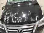 2019 LEXUS GX 460