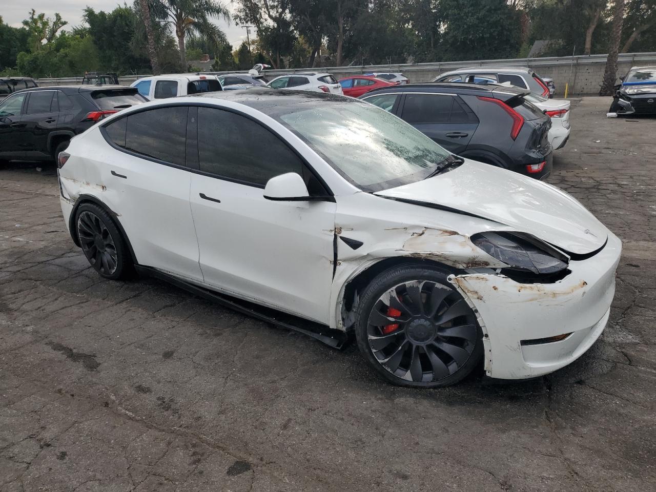 2023 TESLA MODEL Y