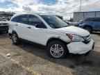 2010 HONDA CR-V