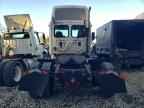 2013 FREIGHTLINER CASCADIA