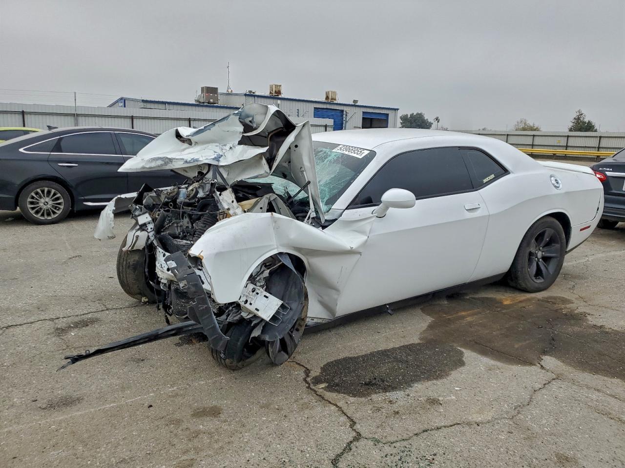 2020 DODGE Challenger