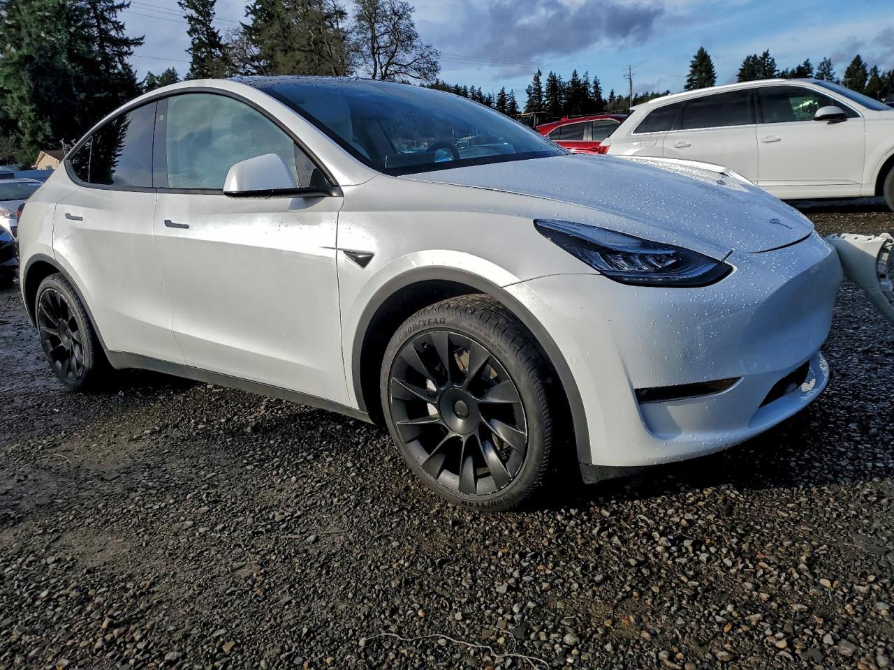 2020 TESLA MODEL Y