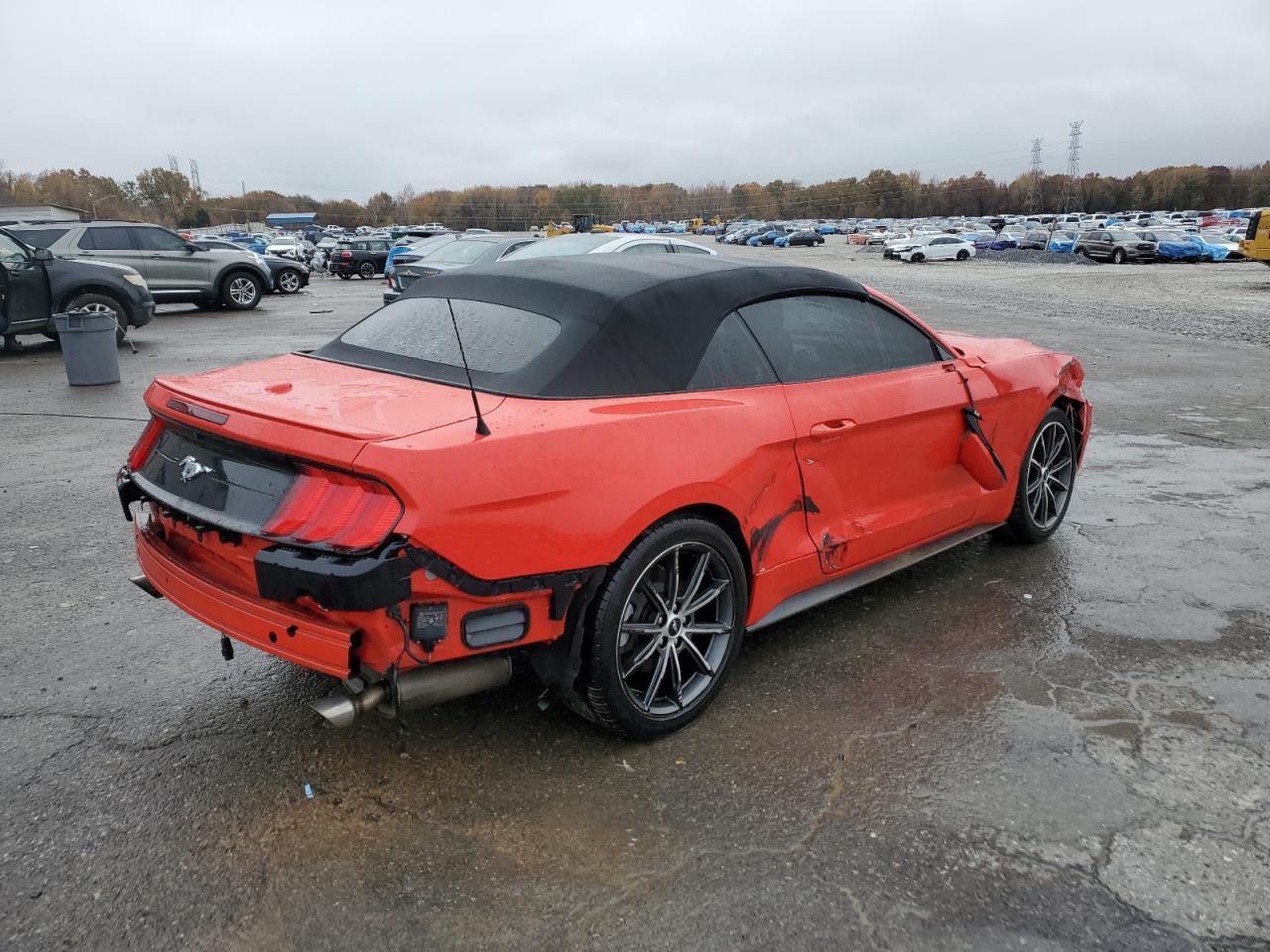 2019 FORD MUSTANG