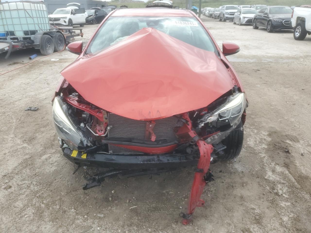 2019 TOYOTA COROLLA