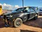 2024 CADILLAC ESCALADE
