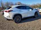 2023 LEXUS NX 350H
