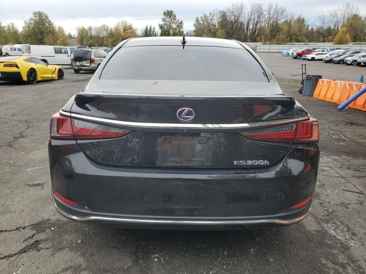 2019 LEXUS ES 300H