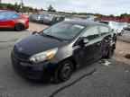 2013 KIA RIO