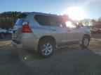 2011 LEXUS GX 460