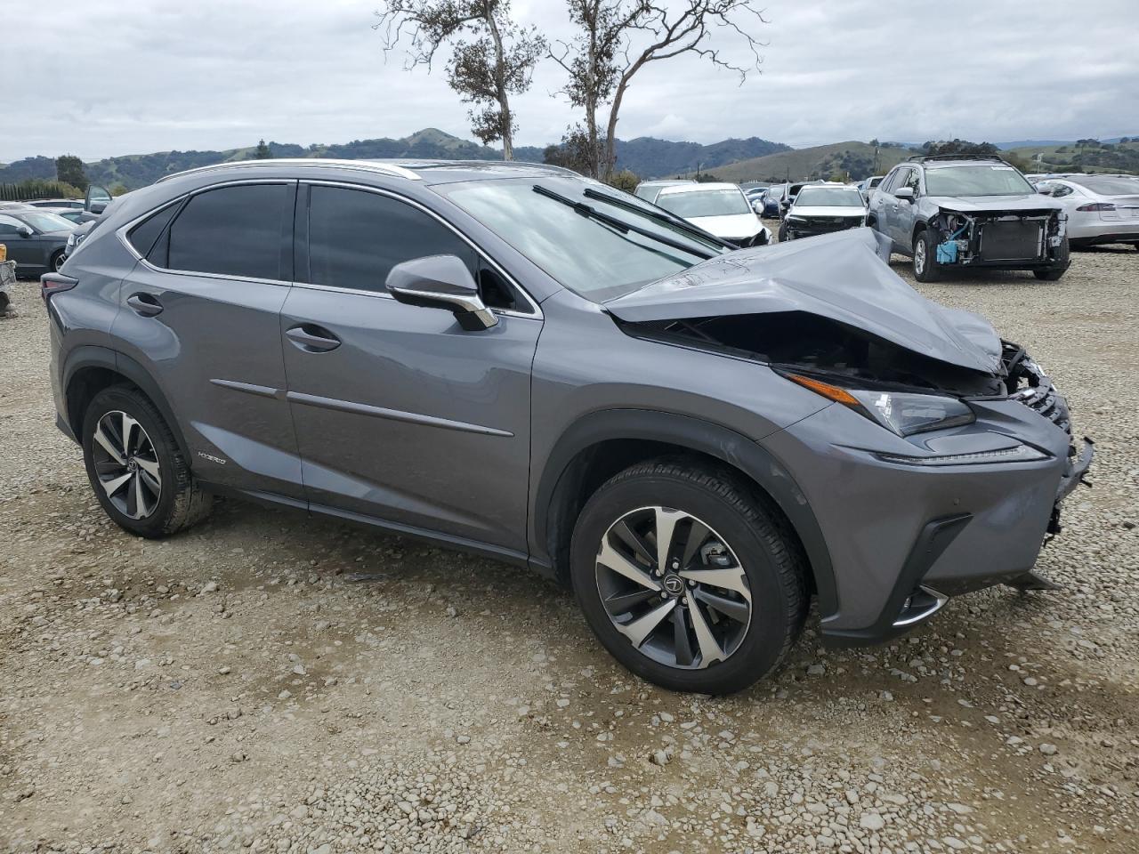 2021 LEXUS NX 300H