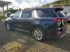 2024 KIA Carnival