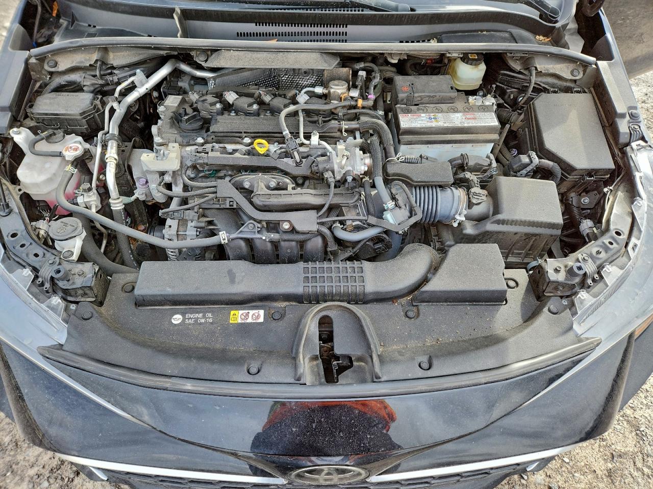 2021 TOYOTA COROLLA