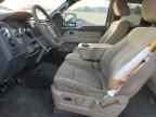 2009 FORD F-150