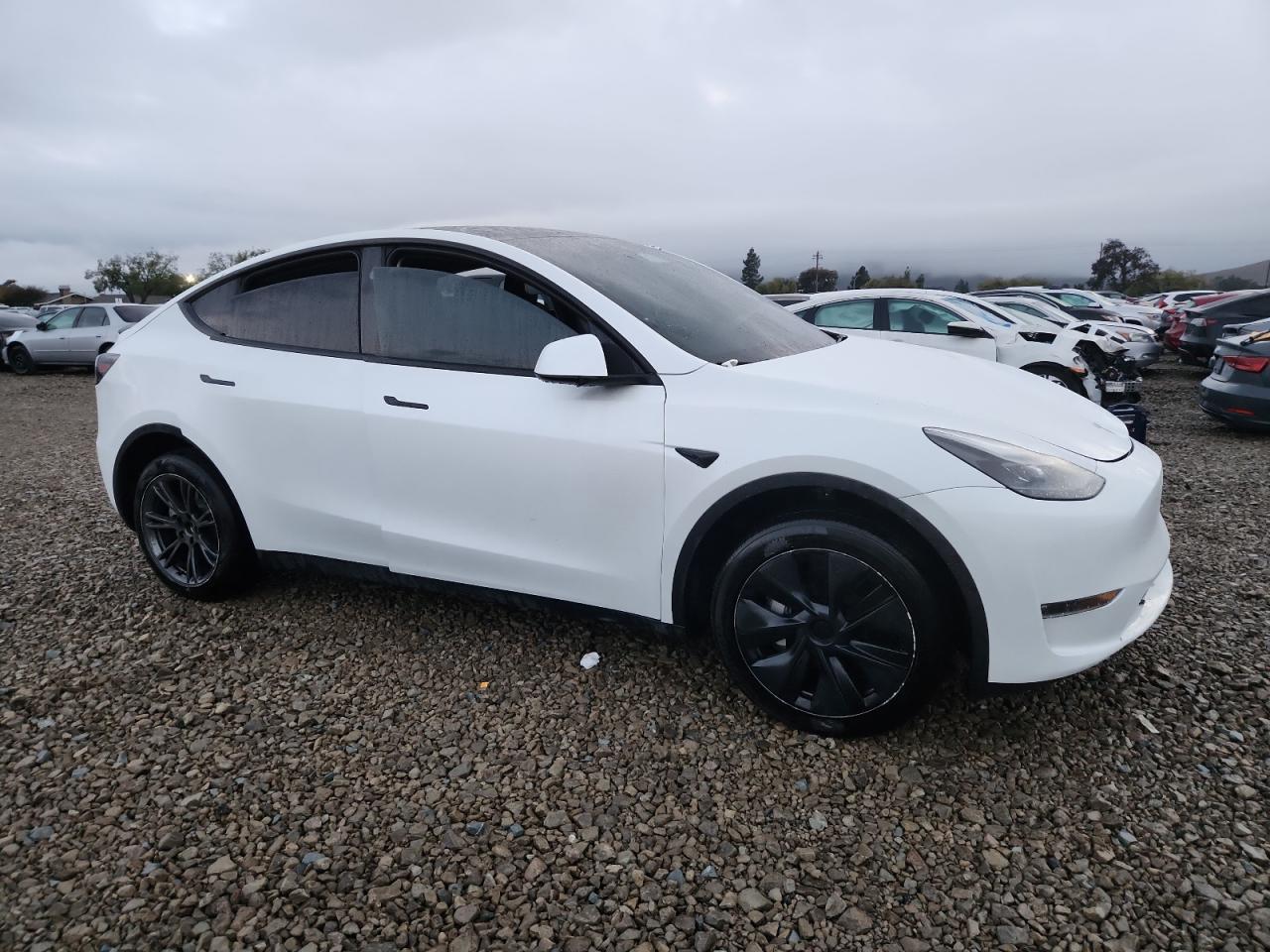 2024 TESLA MODEL Y