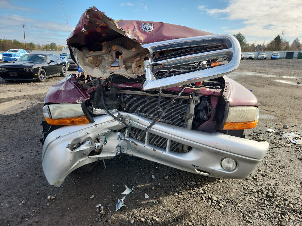 2003 DODGE Dakota