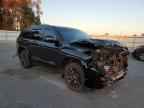 2024 TOYOTA Sequoia