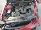 2009 FORD MUSTANG