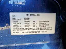 2021 TESLA MODEL Y