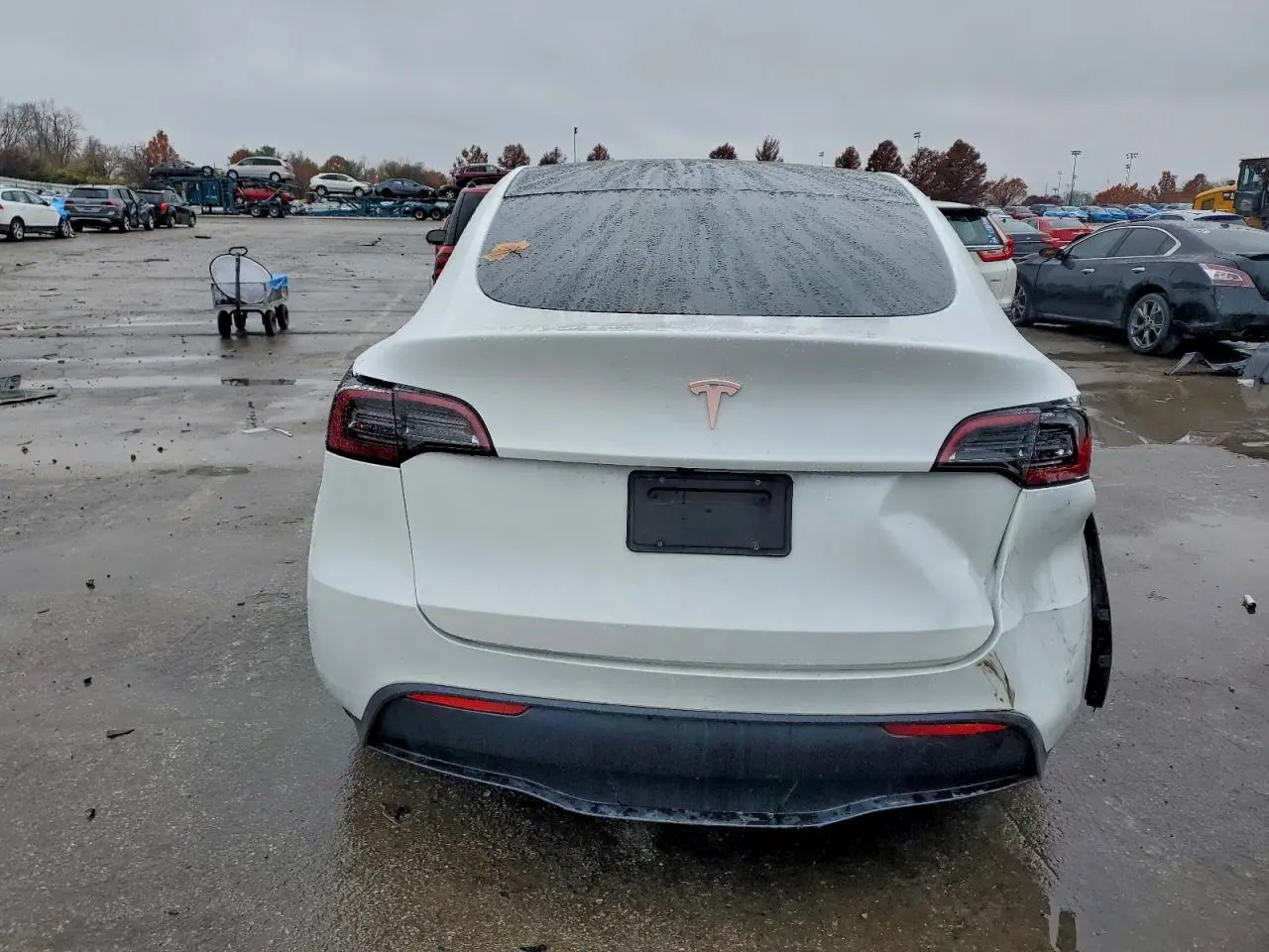 2024 TESLA MODEL Y