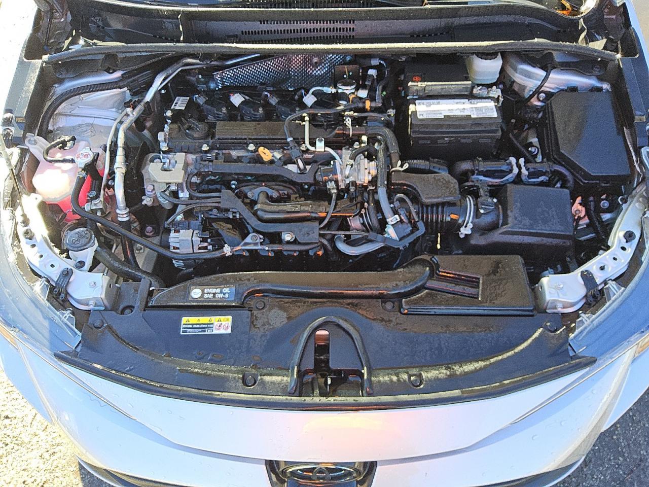 2024 TOYOTA COROLLA