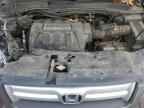 2007 HONDA PILOT