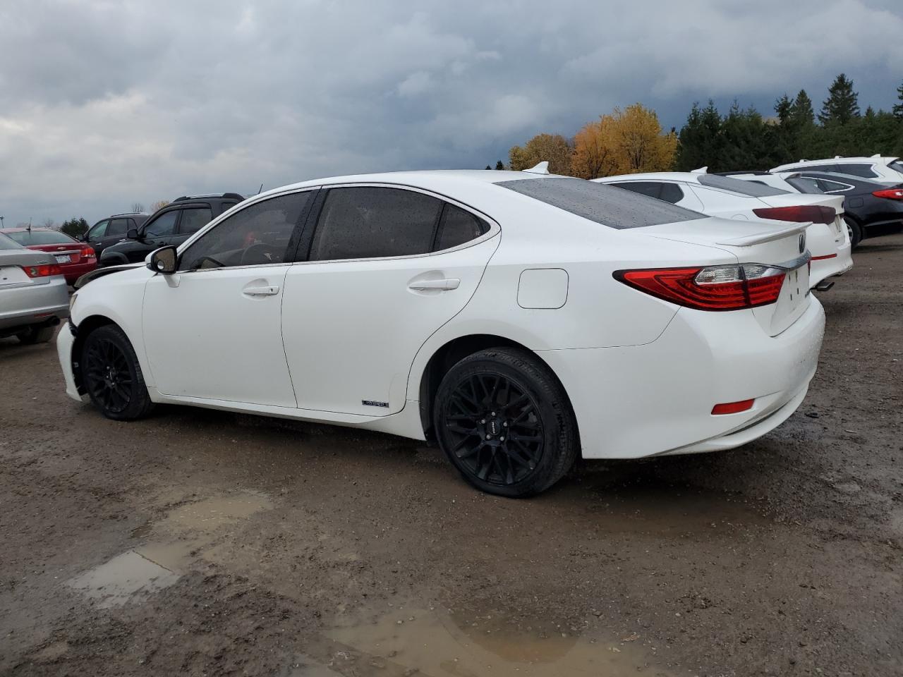 2013 LEXUS ES 300H