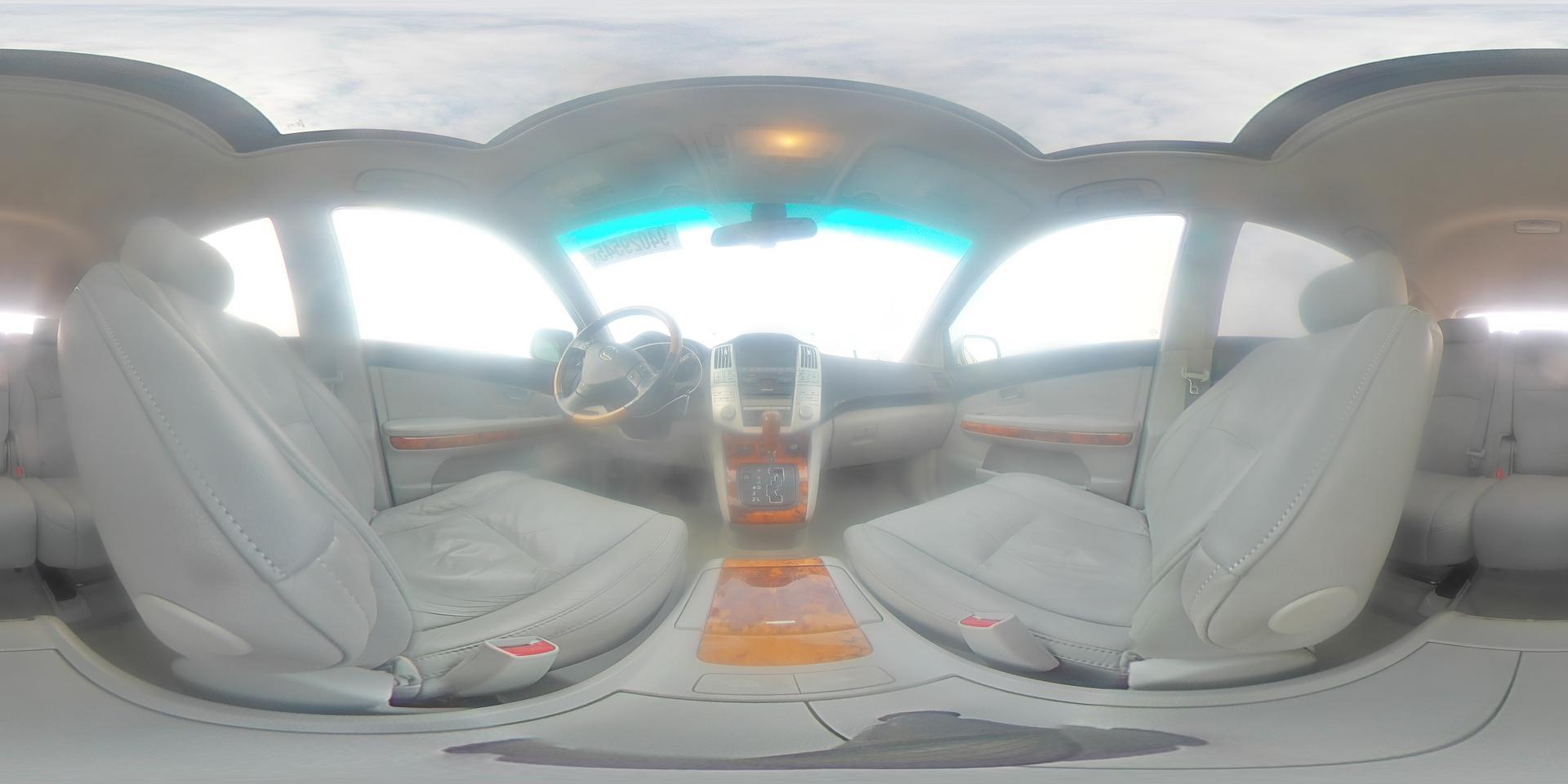 2009 LEXUS RX 350
